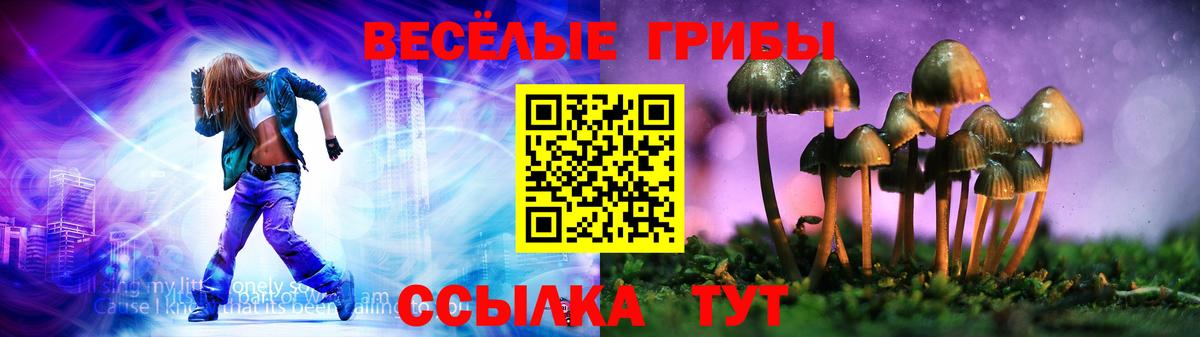 Галлюциногенные грибы MAGIC MUSHROOMS Саранск